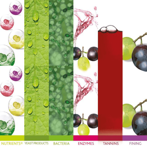 Ingredients and Additives