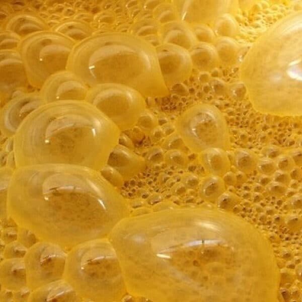 Ingredients and Additives