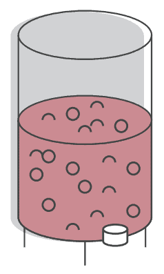 Fermentation
